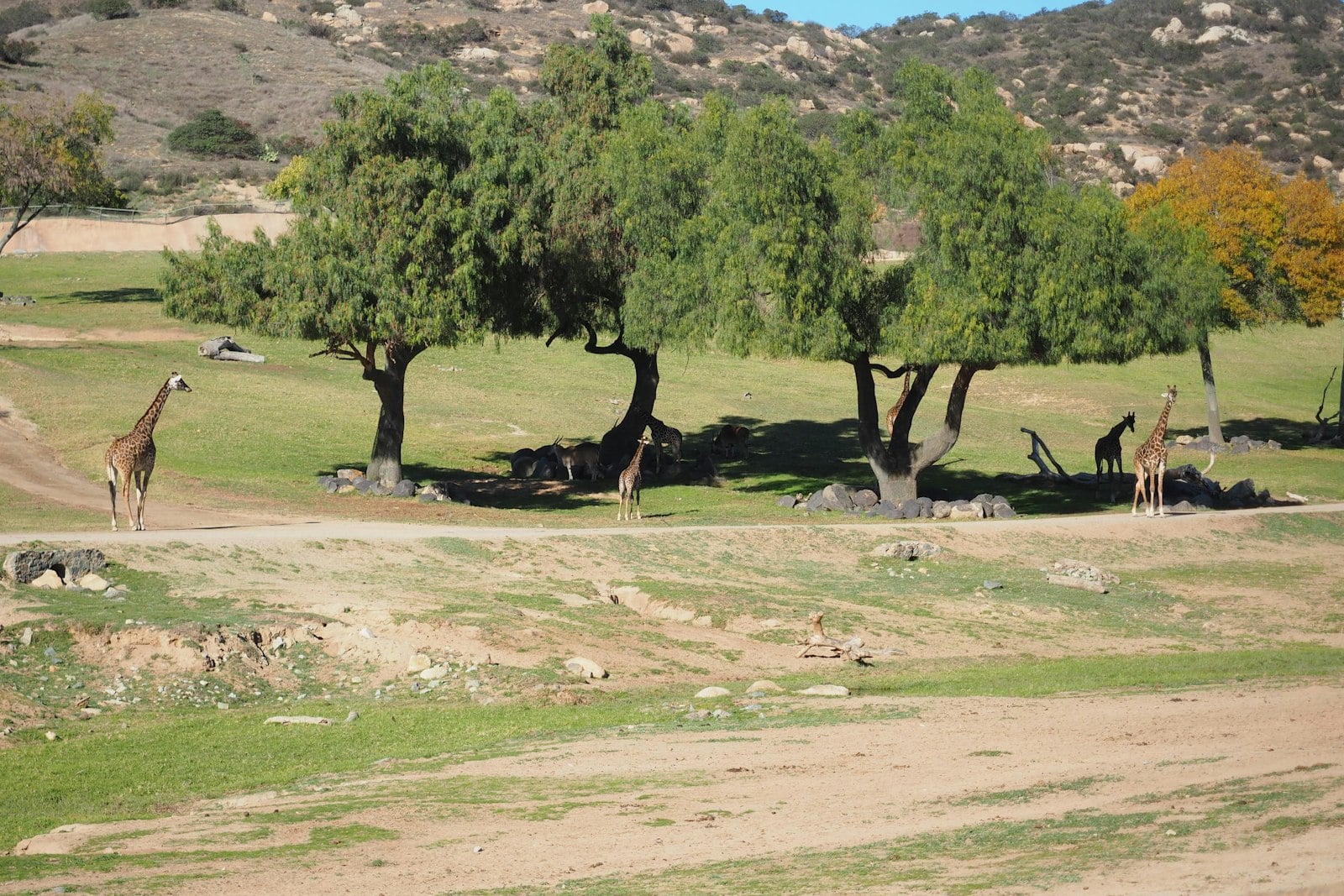 Escondido, San Diego